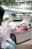 COOLECI宠物推车一键折叠宠物车中小型犬手推车可分离猫咪小推车狗狗用品 C2 奶茶色【低篮筐车架分离款】一键折叠 实拍图