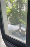 NIYEVN【700㎡全屋大面积-24H抽干70L水】除湿机家用抽湿机净化一体机补贴20%除湿器工业小型回南天防潮 35L/天 【空气净化杀菌丨双核冷凝-强效AI数显 实拍图
