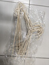 心相印无芯卷纸云感柔肤4层117克*12卷 可冲散厕纸 卫生纸巾 单提装 实拍图