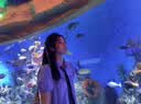 世希大码女装韩版宽松遮肚子连衣裙女夏季胖妹妹显瘦减龄学院风中长裙 蓝色 M [建议85-100斤] 实拍图