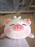 名创优品（MINISO）小猪B-BO翅膀款趴毛绒公仔玩具玩偶抱枕娃娃靠枕生日礼物女 实拍图