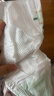 babycare金山茶花婴儿纸尿裤mini装M26片(6-11kg)尿不湿透气超薄透气 实拍图