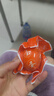 【热销百万单】正宗咸鸭蛋50g/枚饱满流油生鲜超市早餐新鲜即食 【活动专享】8枚特惠 实拍图