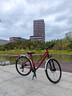 大行（DAHON）折叠自行车配件车座p8k3坐垫公路车座鞍单车减震座椅14-24寸通用 大坐垫【棕色】 实拍图