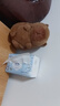 背包款汉堡包背包卡皮巴拉公仔水豚鼠玩偶土拨鼠生日礼物儿童玩具 经典款-卡皮巴拉 高约22厘米【精品8寸玩偶】 实拍图
