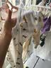 mymini婴儿投降式襁褓翅膀睡袋新生儿宝宝防惊跳包裹春秋冬棉用品防踢被 蓝橙色太阳山【前后1层】 69cm(12-17斤宝宝)L码 实拍图