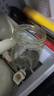 葆氏儿童牛奶杯学饮杯直饮喝水杯宝宝吸管杯PPSU材质带刻度330ML-熊猫 实拍图