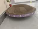 【京东物流】猫抓板磨爪猫窝一体耐磨不掉屑超大号猫玩具猫咪用品 椭圆超大号+猫薄荷 实拍图