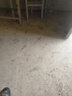 陶瓷碗家用喜庆乔迁新居碗碟餐具套装岁月静好饭碗 岁月静好3碗 实拍图
