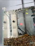 森森 小鲤鱼缸过滤器净水循环三合一内置水族箱过滤系统XQP-500F 6W 实拍图