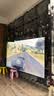 东芝电视85Z500QF 85英寸 Mini LED控光 264Hz 4+128GB 火箭炮音响 4K超清 以旧换新家电国家补贴 实拍图
