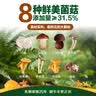 草原红太阳火锅汤料 草本汤料珍鲜菌菇60g*5袋 1人食 8种菌菇 麻辣烫底料 实拍图