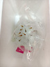 观背青鳉淡水观赏鱼魔法鱼冷水鱼小锦鲤不打氧不加温活体宠物包邮 混搭2-3cm20+2防损包含星光 晒单实拍图