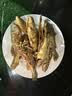 华畜聚维酮碘溶液水产养殖复合碘消毒液乌龟鱼虾塘杀菌鱼用药暴血停 单瓶【国标10%聚维酮碘】500ml 实拍图