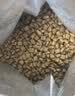 皇家暹罗成猫 SM38 通用粮 12月以上 2KG 实拍图