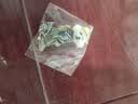 新款创意小狗背包挂件车载亚克力平面挂饰可爱钥匙扣送闺蜜款吊坠 黄泰迪2个 实拍图