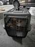 腆宠宠物航空箱大号 猫咪航空箱猫狗 猫包猫笼外出车载猫箱狗狗托运 实拍图