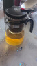 飘逸壶泡茶壶耐热高温玻璃沏茶过滤内胆冲茶器家用茶具套装 飘逸杯500mL1个 实拍图