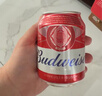 百威啤酒经典纯生330ml*24听整箱装新旧包装随机京东自营踏春送礼 实拍图
