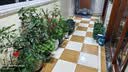 德沃多蓝莓专用营养土15L园艺种菜土壤绿植盆栽花土果蔬种植土 实拍图