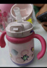 babycare儿童保温杯婴儿宝宝吸管水杯霸王龙不锈钢保温杯300ml-新旧款混发 实拍图