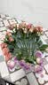 【方德玫瑰】云南鲜花基地直发玫瑰花鲜切38妇女节女神节生日礼物 品牌40-50cm紫霞10支 实拍图