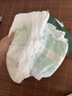 babycare金山茶花婴儿拉拉裤试用装XL码3片(12-17kg)尿不湿超薄透气 实拍图
