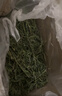 喜帅烘干紫花苜蓿草 幼兔兔粮牧草干草龙猫荷兰猪磨牙饲料净重750g 实拍图