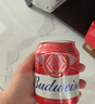 百威金尊啤酒500ml*12瓶整箱装Supreme 京东自营喜酒踏春送礼 实拍图