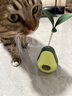 HELLOJOY猫玩具自嗨解闷逗猫棒不倒翁漏食球猫薄荷宠物猫玩的猫咪用品大全 实拍图
