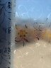 晴画窗户防窥贴膜卫生间玻璃隐私贴纸透光不透人静电贴纸藤蔓90*200cm 实拍图