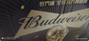百威黑金啤酒600ml*12瓶整箱装拉格焦香醇厚京东自营踏春送礼 实拍图