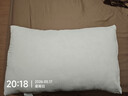 洁丽雅（Grace）纯棉A类枕头枕芯星级酒店羽丝绒枕芯可水洗枕 纤维软枕芯 一对装 实拍图