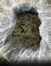 贡苑正宗张家界野生莓茶65g*2 张家界特级龙须芽尖永顺藤茶霉茶礼盒 实拍图