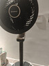 艾美特（AIRMATE）【旗舰金天鹅】空气循环扇语音智能遥控电风扇直流变频家用安静轻音一级能效落地扇负离子净化电扇 实拍图
