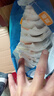 宜婴新梦想家小内裤婴儿超薄透气拉拉裤男女干爽尿不湿 纸 尿裤M号48片【6-11kg】 实拍图
