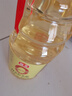 海天 米醋 5度 1.9L【0金标 0添加】点蘸凉拌 酿造食醋 实拍图