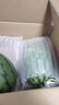 正宗河南2k小糖丸西瓜 手撕薄皮 新鲜水果 现摘直发 小糖丸1.5-2斤手撕爆甜小西瓜 晒单实拍图