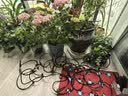 南水灌溉家用室内懒人自动浇花神器办公室绿植智能定时浇水滴灌溉 实拍图