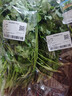 带根香菜100g 实拍图