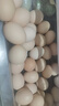 京鲜生 无抗保洁鲜鸡蛋30枚/盒 健康轻食 礼盒送礼 1.5kg/盒 源头直发 实拍图