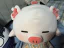 名创优品（MINISO）墩墩鸡dundun可爱毛绒玩偶大号公仔陪伴睡觉搞怪抱枕恶搞生日礼物 小猪B-BO（37*23cm) 见详情 实拍图