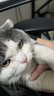 ZYUO日本品牌宠物除臭剂杀菌去尿味生物酶猫尿分解剂室内拖地专用除味 1瓶装【试用装】 实拍图