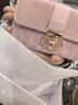 CHARINE&KATH 小&ck女包蜜桃粉法式腋下包包女小众百搭高级感链条斜挎单肩包女 粉色 专柜礼盒装 实拍图
