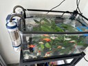 森森耀蓝鱼缸壁挂式过滤器YBF-500外置过滤桶【鱼便分离+过滤升级】6W 实拍图