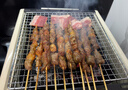 尚烤佳（Suncojia）烧烤炉 烧烤架 户外木碳烤炉 长条可折叠木炭烤羊肉串烧烤炉子 实拍图