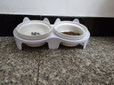 licheers猫碗陶瓷猫粮双碗斜口不黑下巴宠物幼猫咪吃饭食盆喝水喂食一体 实拍图