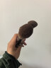 魅丝蔻（MSQ）10支摩卡动物毛化妆刷套装散粉刷腮红刷修容鼻影刷眼影刷美妆工具 实拍图