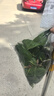 FYOUGA斐佑儿童运动半指手套男女户外自行车骑行单杠引体向上防滑XS粉色 实拍图