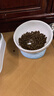 乐优派猫碗陶瓷狗碗猫食盆狗盆宠物碗猫粮碗高脚大容量 月球碗蓝色 实拍图